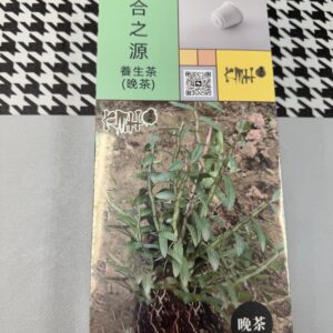 百合之源(晚茶)茶蛋
